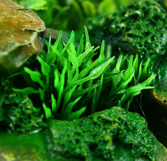 Zimmerbrunnen mit Beleuchtung LED Zimmerspringbrunnen Brunnen Wasserfall Dekoration (Nebel)