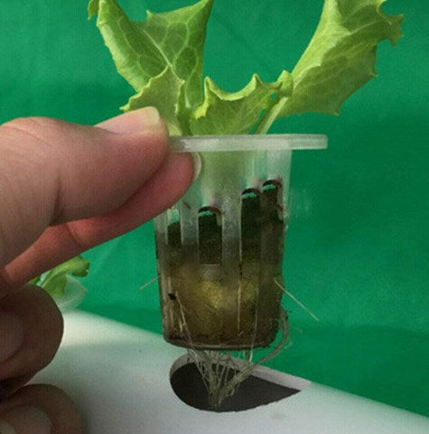 54 Pflanzen Hydrokultur 6 Rohre Hydroponik Wachsen Garten Bewässerungssystem NEU