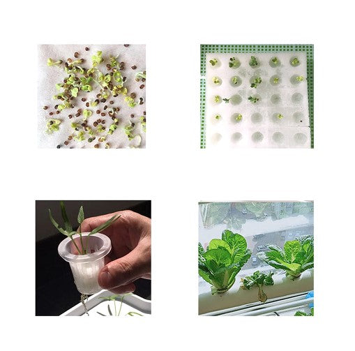 36 Löcher 4 Rohre - 2 Schichten Hydroponisches Anbausystem