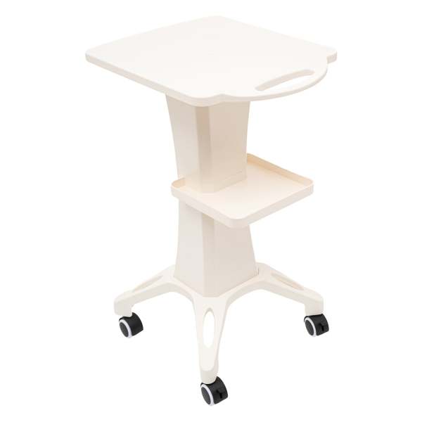 Beauty Salon Trolley Rollwagen Arbeitswagen Kosmetikwagen Gerätetisch Halter bis 50 kg