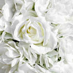 product detail banner