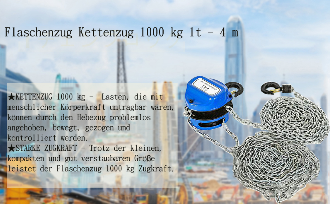 1T 1000kg Profi Hand Kettenzug Flaschenzug Hebezug Ratschenzug Seilzug Kranzug