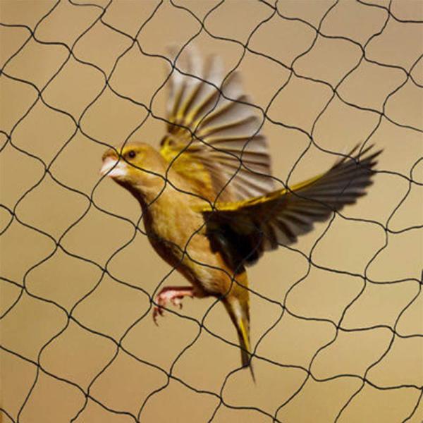 CNCEST 30 x 15cm Vogelabwehr Gartennetz Geflügelnetz Laubschutznetz Vogelschutz Netz