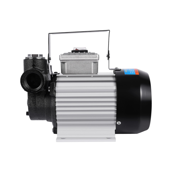 550W 60L/Min Dieselpumpe Heizölpumpe Selbstansaugend Ölpumpe Mit Automatik Zapfpistolle