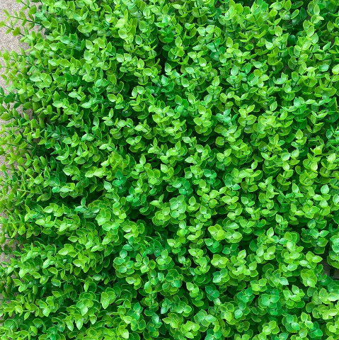 12 Stück 60x40cm Künstliche Pflanzenwand