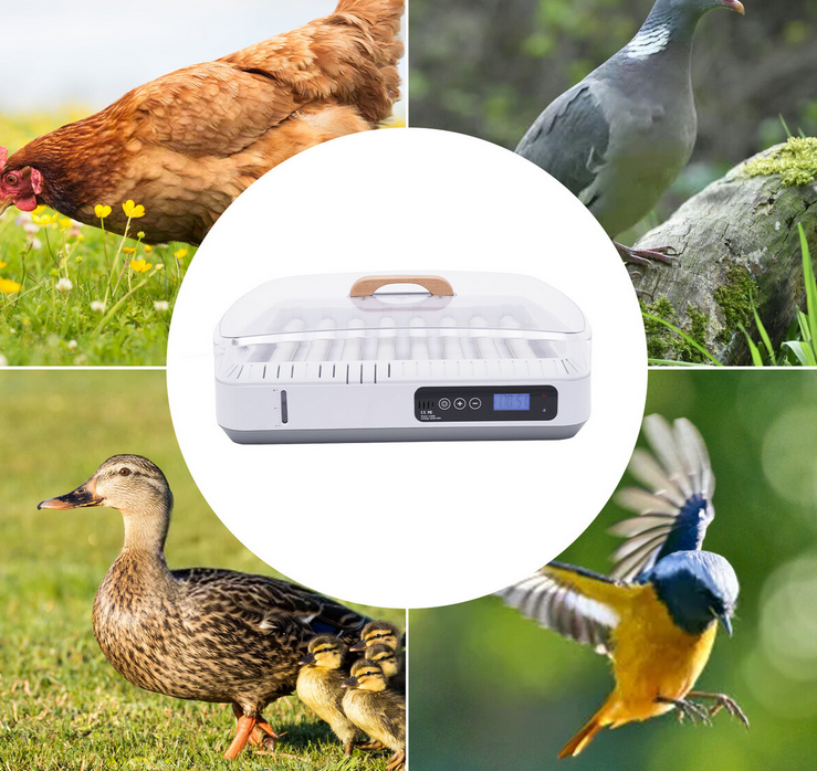 35 Eier Brutmaschine Brutautomat Vollautomatisch Inkubator Brutautomat mit Beleuchtung Temperaturregelung Auto-flip