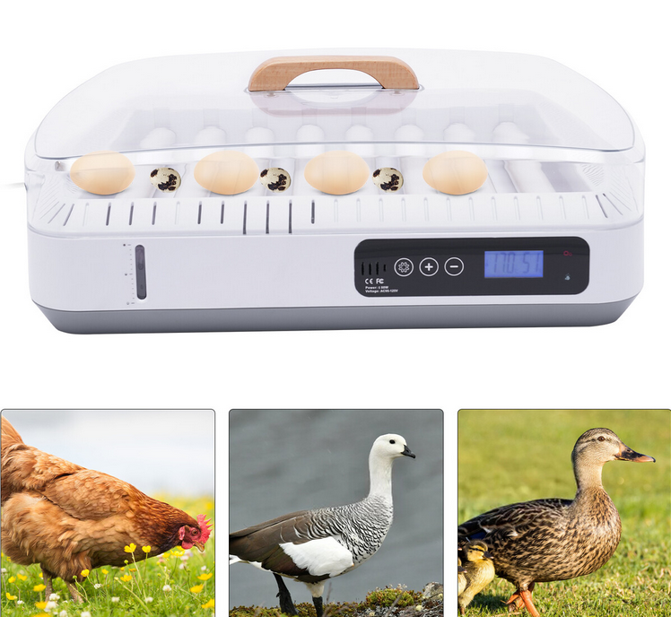 35 Eier Brutmaschine Brutautomat Vollautomatisch Inkubator Brutautomat mit Beleuchtung Temperaturregelung Auto-flip