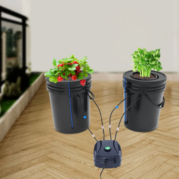 2-teiliges Hydrokultursystem, 5-Gallonen-Tiefwasserkultur mit Luftpumpe, Mechanismus für Tiefwasserkultivierung 2-teiliges Hydrokultursystem, 5-Gallonen-Tiefwasserkultur mit Luftpumpe, Mechanismus für Tiefwasserkultivierung